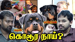 Rottweiler a BAD DOG  சிறுமியை கடித்து குதறிய ராட்வெய்லர் நாய்கள்  Paari Saalan and Varun [upl. by Nirra]