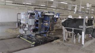 TieStall AMS Milking Robot by Milkomax [upl. by Anerol]