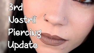 Nostril Piercing  1 Month Update  Piercing BUMPS [upl. by Adelheid864]