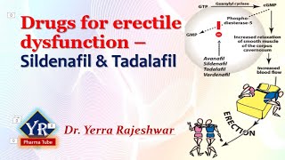 Drugs for Erectile dysfunction  Sildenafil amp Tadalafil  YR Pharma Tube  Dr Rajeshwar Yerra [upl. by Htiekal]