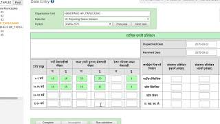 HMIS Data Entry Tutorial [upl. by Vogele168]