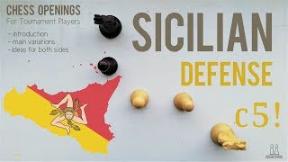 Sicilian Defense introduction ideas amp variations ⎸Chess Openings [upl. by Marvel821]