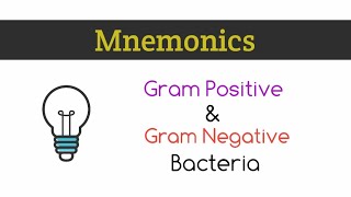 Mnemonics to learn examples of Gram negative and Gram positive bacteria [upl. by Arrej]