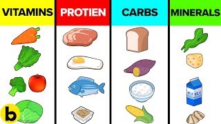 How The Six Basic Nutrients Affect Your Body [upl. by Tobey]