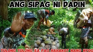 PAG HAHAKOT NANG NYOG KASAMA SI DADIN PARA SA PANG GATA NANG BIBINGKA NI DADIN PARA MAGKA PERA [upl. by Junko290]