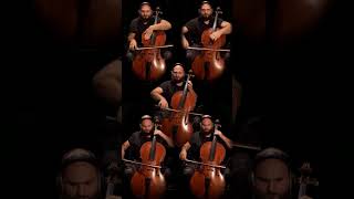 Wardruna  Kvitravn White Raven Throat Singing Cello Cover [upl. by Wende662]