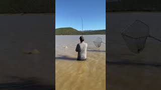 Stompdrif Dam Carp Fishing 2 carpfishing bigcarp carp fyp fish [upl. by Tormoria]