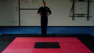 Ninjutsu Basic Moves [upl. by Ocramed]