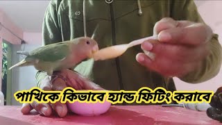 পাখির বাচ্চাকে কিভাবে হ্যান্ড ফিডিং করাবে  How To Hand Fitting Birds  How To Hand Feed Parrot [upl. by Atinehs795]