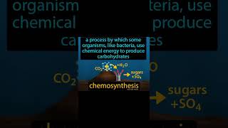 Chemosynthesis surajchem pgtneet iit jee11th amp12th chemistry board [upl. by Oirramaj]