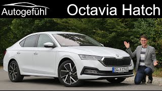 Skoda Octavia 2021 Real Life Review  20 TSI Is Superbbbbb [upl. by Levinson560]