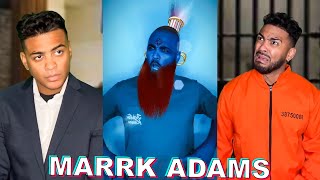 BEST OF THE MONTH MARRK ADAMS Shorts 17  NOVEMBER 24 Mark Adams TikToks [upl. by Auburta]