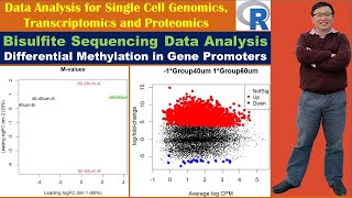 Bisulfite Sequencing Data Analysis Differential Methylation in Gene Promoters [upl. by Adnoma38]