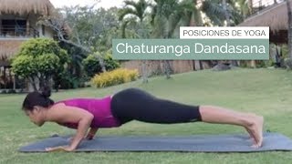 Posición de yoga Chaturanga dandasana o postura del bastón con cuatro apoyos [upl. by Ajroj]