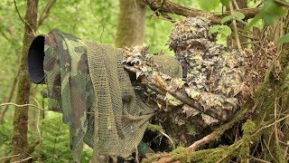 BIRD PHOTOGRAPHY in the forest  Wildlife photography behind the scenes  Nikon Z7 FTZ camouflage [upl. by Demott331]