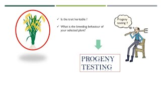 progeny test  vilmorin principle  plant breeding  ICAR jrf [upl. by Gray]