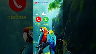 New call ringtone 2024  hindi ringtone 2024 trending Ringtone love ringtone song mobile ringtone [upl. by Leahcimnaj837]