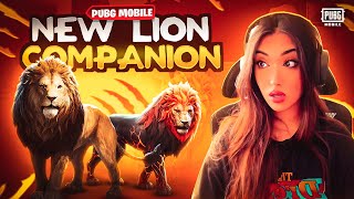 LION BUDDY OPENING  FIERY BEAST SET  NEW HOLA BUDDY SPIN  PUBG MOBILE [upl. by Wrigley]