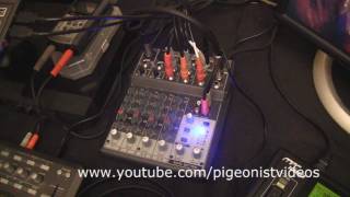 Behringer XENYX 802 Mixer Setup [upl. by Justen]