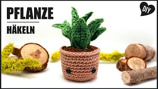 Pflanze hÃ¤keln  Zimmerpflanze Amigurumi Topfpflanze  DIY by Pfirsichteufel [upl. by Alithea]