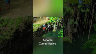 Incredible Cave Cenote Explorations Xenotes Tour  Xcaret México All Fun Inclusive [upl. by Euqina]