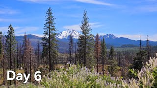 PCT 2024 Day 6 Road trip [upl. by Wendelin]