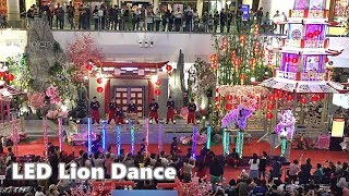 2019 Acrobatic LED Lion Dance [upl. by Thirzi]