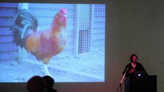 Artist Talk Koen Vanmechelen quotCosmopolitan Chicken Projectquot [upl. by Birdella121]