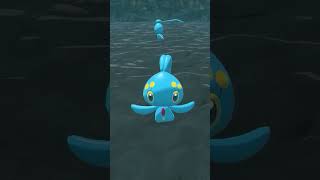 WTF is Manaphy  EVERY Pokémon Design Explained pokemon pokemontcg shorts [upl. by Elcarim]