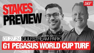 TFUS Grade 1 Pegasus World Cup Turf Preview  January 27 2024 [upl. by Noemys451]