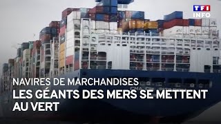 Navires de marchandises  quand les géants des mers se mettent au vert [upl. by Yrod592]