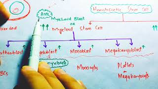 Acute Leukemia  Acute myeloid leukemia AML  Myeloid Neoplasm Robins pathologyPathoma Pathology [upl. by Howell]