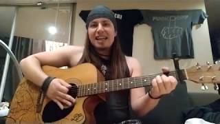 Keelhauled Alestorm acoustic cover [upl. by Tallbot]