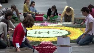 Alfombra floral Corpus Christi 2012 [upl. by Rebma]