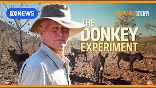 The maverick outback grazier using donkeys to regenerate his land  Australian Story [upl. by Reg447]