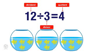 What is Division Grade 3 [upl. by Juliette556]