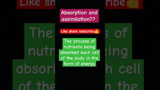 difference between absorption and assimilation biology differentiation subscribe shortsvideo [upl. by Isaak]