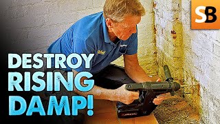 Easy DIY Solution to Treat Rising Damp in Walls [upl. by Esiralc]