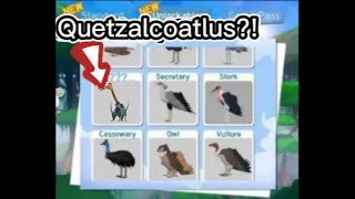 How to get 1000 feathers easily in feather family roblox pc only [upl. by Peacock]