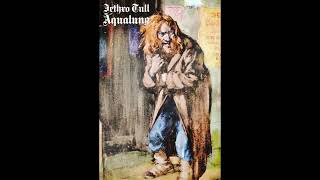 AQUALUNG  JETHRO TULL ALBUM COVER amp MUSIC FANTASY amp LYRICS [upl. by Regnig]