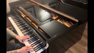 How I Practice the Piano on my Bösendorfer [upl. by Oribel]