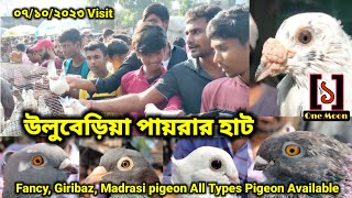 Uluberia pet market  Current Exotic Pigeons Price Update at Uluberia 07102023 Visit  One Moon [upl. by Harrad244]