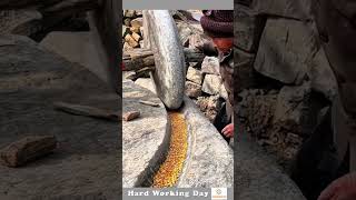 The Process Of Grinding Corn Kernels [upl. by Pearson]