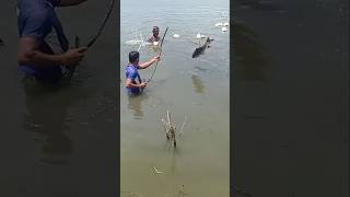 முரட்டு மீனா இருக்கும் போல shorts net fishing [upl. by Emlin]