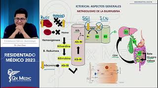 Neonatología  5 Ictericia neonatal [upl. by Notlew587]