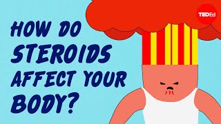 How do steroids affect your muscles— and the rest of your body  Anees Bahji [upl. by Akienom]