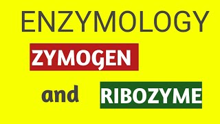 ENZYMOLOGYZYMOGEN AND RIBOZYME [upl. by Nillor]