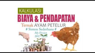 Berapa Modal Omset dan Profit ternak ayam petelur sederhana [upl. by Dosi]