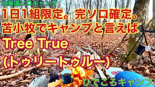 【北海道ソロキャンプ】1日1組限定！完ソロ確定！苫小牧TreeTrueで早春のぼっちキャンプを満喫！ [upl. by Ayrb183]