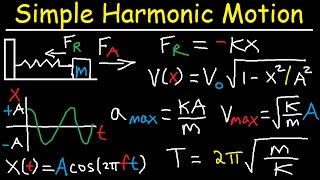 Simple Harmonic Motion Mass Spring System  Amplitude Frequency Velocity  Physics Problems [upl. by Norvell]